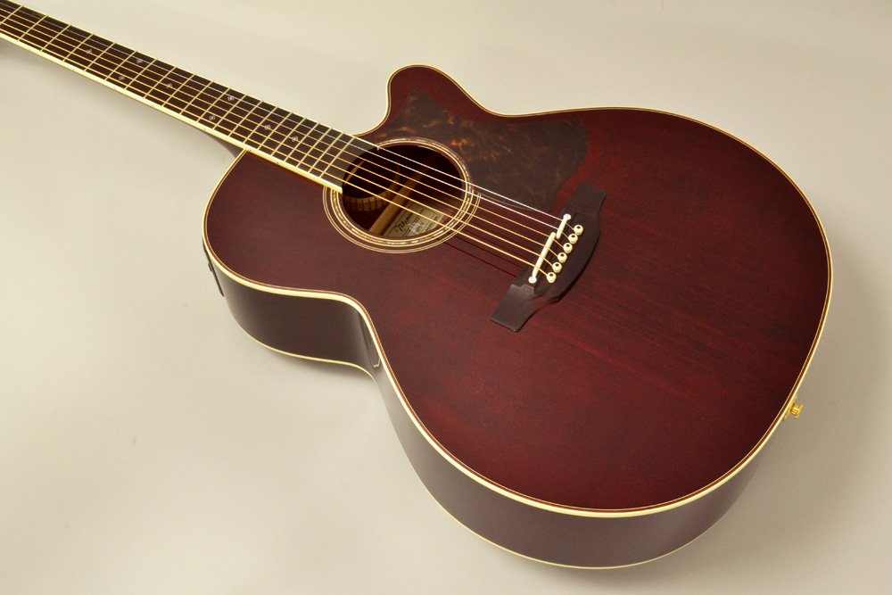 Amazon | Takamine DMP50S WR エレアコギター 島村楽器 x
